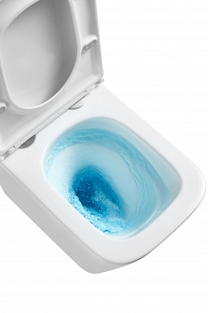 Подвесной унитаз безободковый Terminus Ватикан Monolit 490х340 белый Салехард - фото 8 Подвесной унитаз безободковый Terminus Ватикан Monolit 490х340 белый Салехард - фото 8