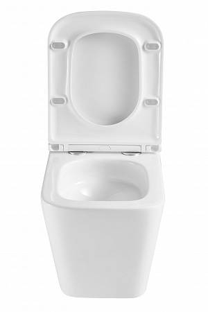 Подвесной унитаз безободковый Terminus Ватикан Monolit 490х340 белый Салехард - фото 7 Подвесной унитаз безободковый Terminus Ватикан Monolit 490х340 белый Салехард - фото 7