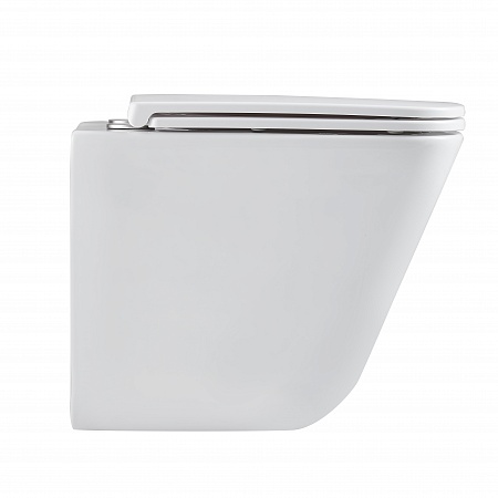 Подвесной унитаз безободковый Terminus Ватикан Monolit 490х340 белый Салехард - фото 4 Подвесной унитаз безободковый Terminus Ватикан Monolit 490х340 белый Салехард - фото 4