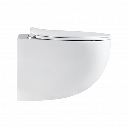 Подвесной унитаз безободковый Terminus Енисей Monolit 560х390 белый Салехард - фото 4 Подвесной унитаз безободковый Terminus Енисей Monolit 560х390 белый Салехард - фото 4