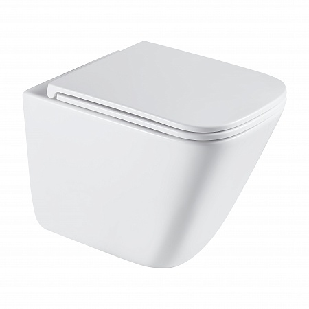 Подвесной унитаз безободковый Terminus Ватикан Monolit 490х340 белый Салехард - фото 2 Подвесной унитаз безободковый Terminus Ватикан Monolit 490х340 белый Салехард - фото 2