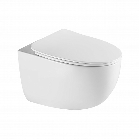 Подвесной унитаз безободковый Terminus Енисей Monolit 560х390 белый Салехард - фото 2 Подвесной унитаз безободковый Terminus Енисей Monolit 560х390 белый Салехард - фото 2