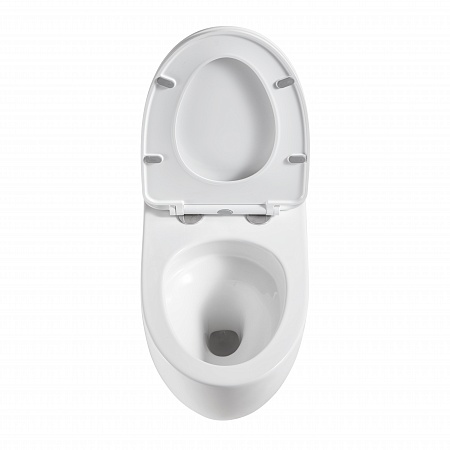 Подвесной унитаз безободковый Terminus Енисей Monolit 560х390 белый Салехард - фото 3 Подвесной унитаз безободковый Terminus Енисей Monolit 560х390 белый Салехард - фото 3