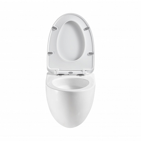 Подвесной унитаз безободковый Terminus Енисей Monolit 560х390 белый Салехард - фото 5 Подвесной унитаз безободковый Terminus Енисей Monolit 560х390 белый Салехард - фото 5