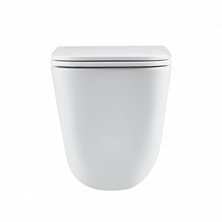 Подвесной унитаз безободковый Terminus Ватикан Monolit 490х340 белый Салехард - фото 6 Подвесной унитаз безободковый Terminus Ватикан Monolit 490х340 белый Салехард - фото 6