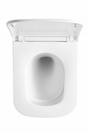 Подвесной унитаз безободковый Terminus Ватикан Monolit 490х340 белый Салехард - фото 3 Подвесной унитаз безободковый Terminus Ватикан Monolit 490х340 белый Салехард - фото 3